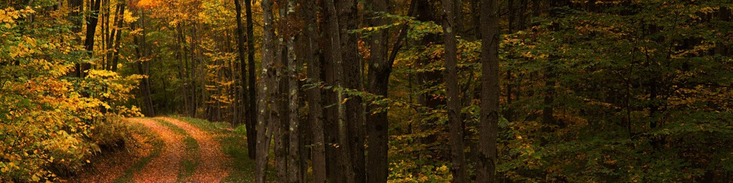 Catskills Fragrance Collection