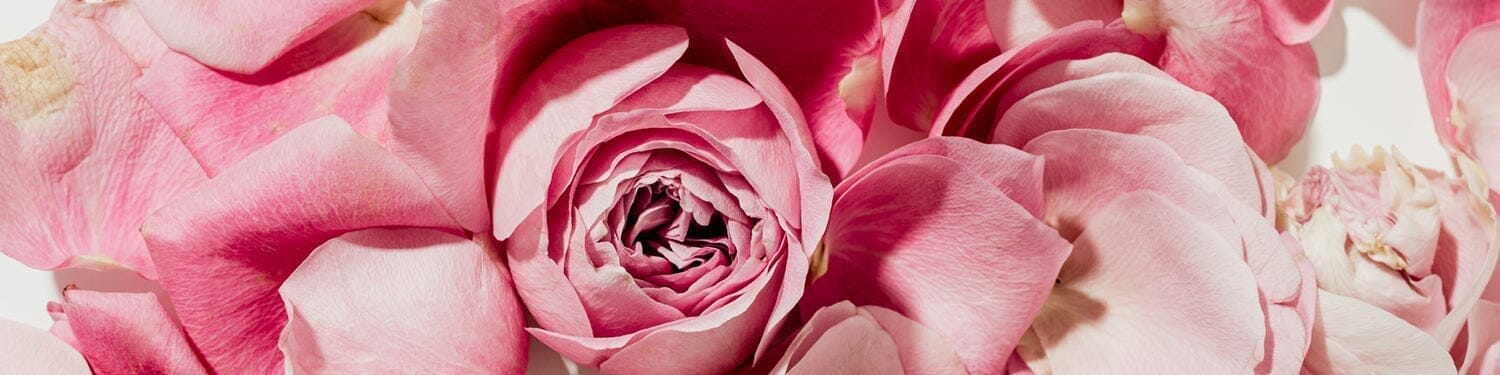 Floral Fragrance Family