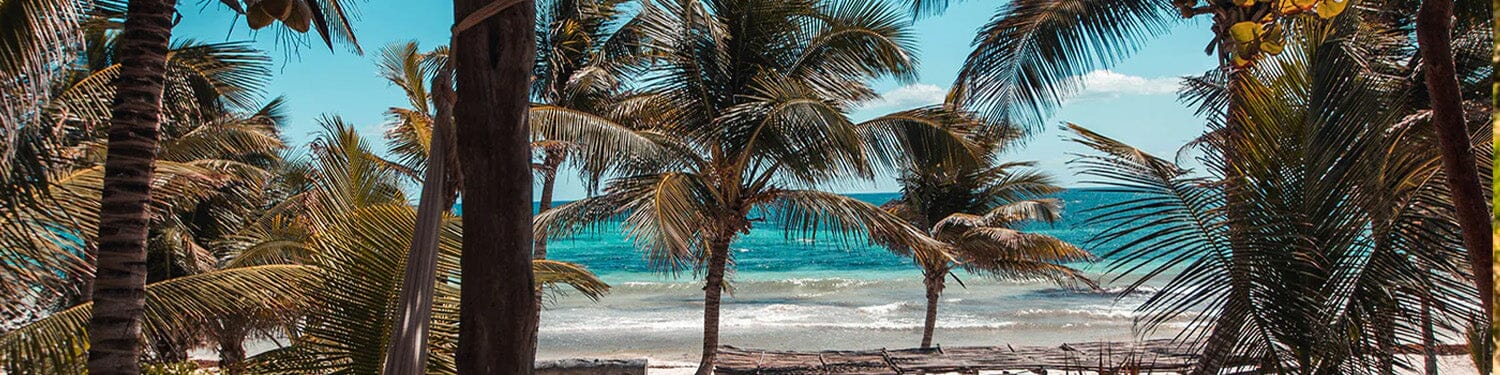 Tulum Fragrance Collection