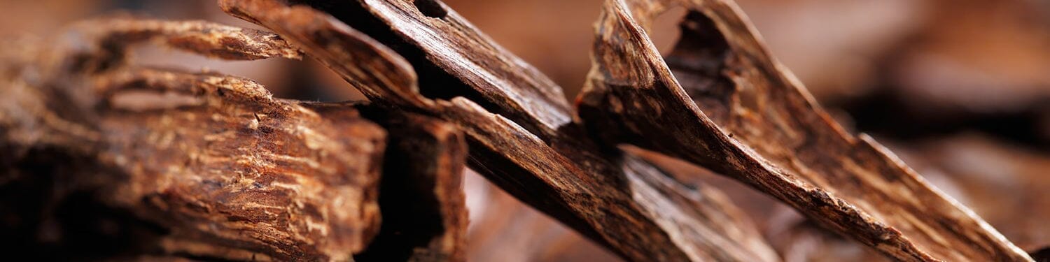 Woody Fragrance Family