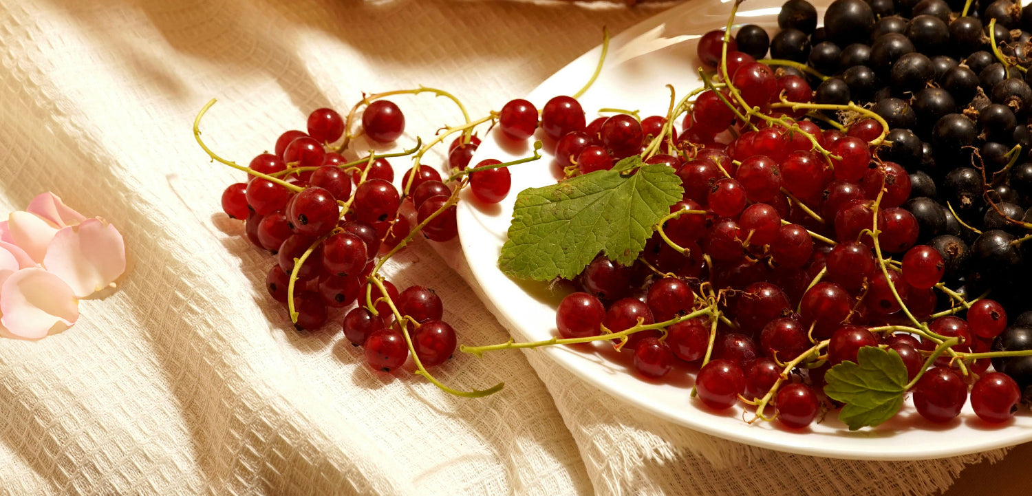 Brooklyn Candle Studio Cassis inspiration image