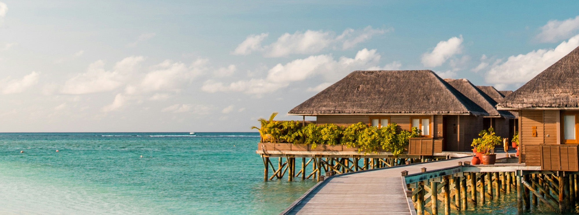 Overwater bungalows with a wooden dock extending into clear blue water on a sunny day.