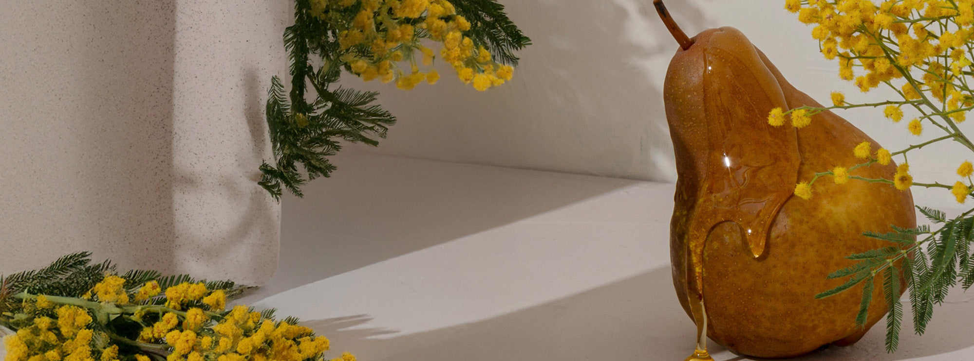 Mimosa flowers, Pear with honey