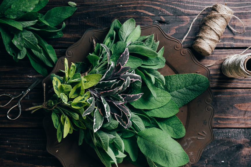 Fresh herbs