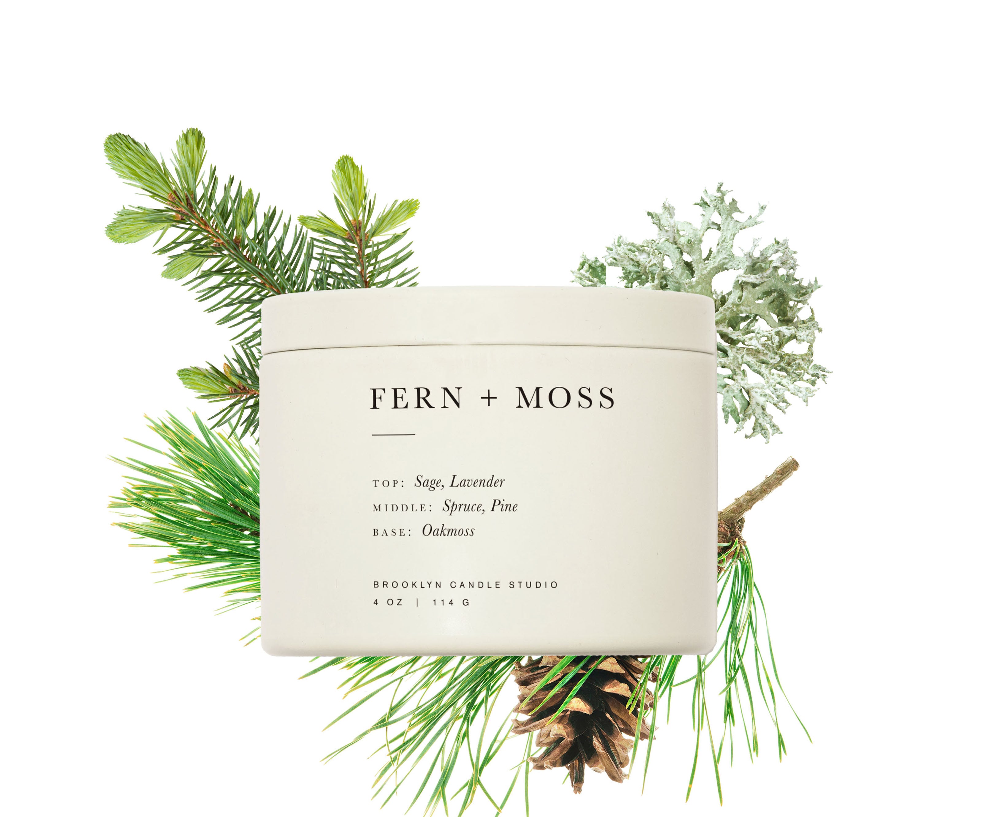 Fern and Moss Travel Candle Scent Composition