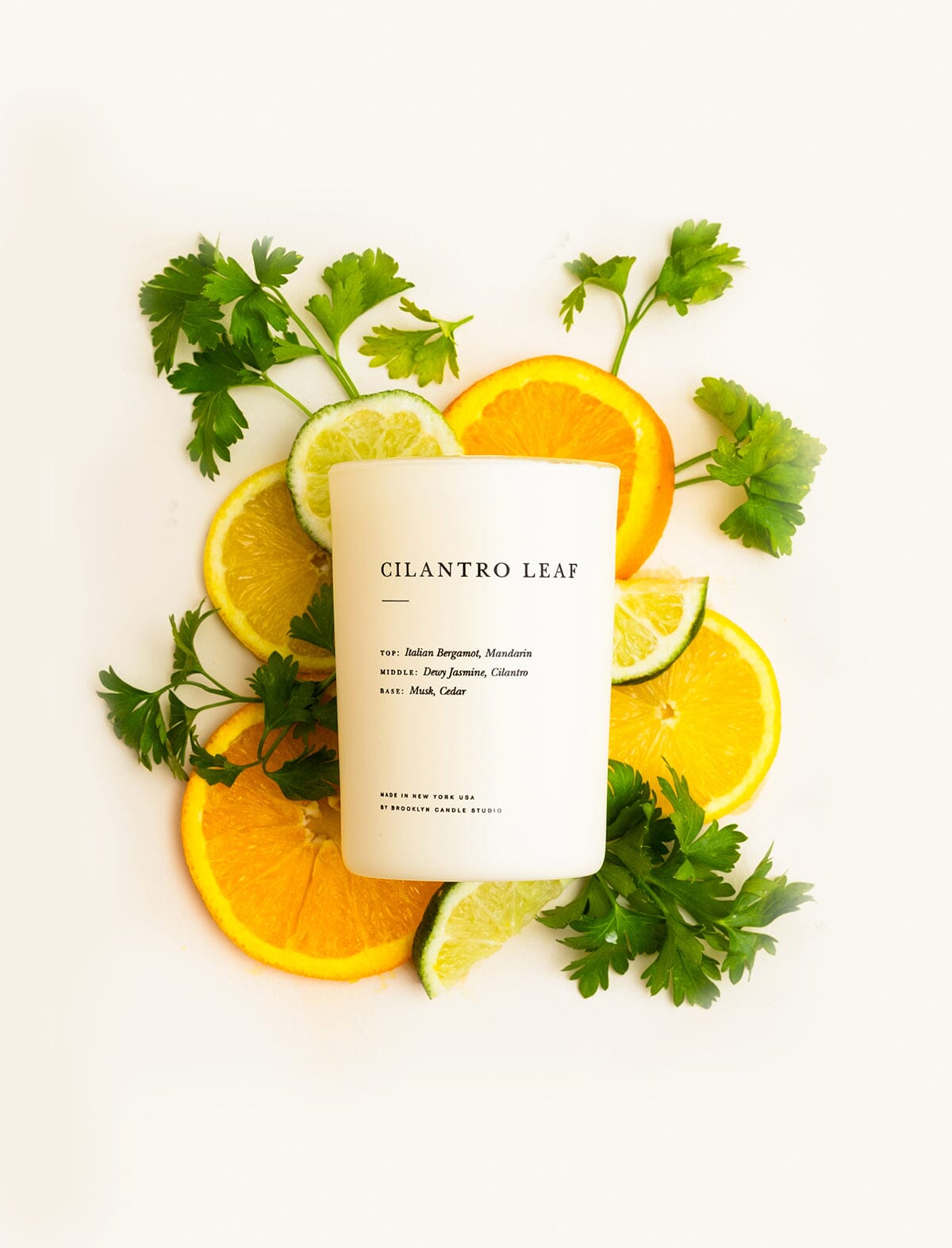 Limited Edition Cilantro Leaf Candle Limited Edition Brooklyn Candle Studio