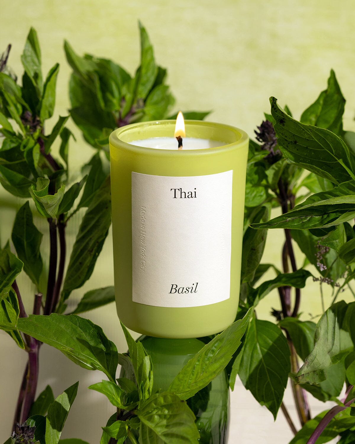 Limited Edition Thai Basil Candle (First Friday Flame) Limited Edition Brooklyn Candle Studio