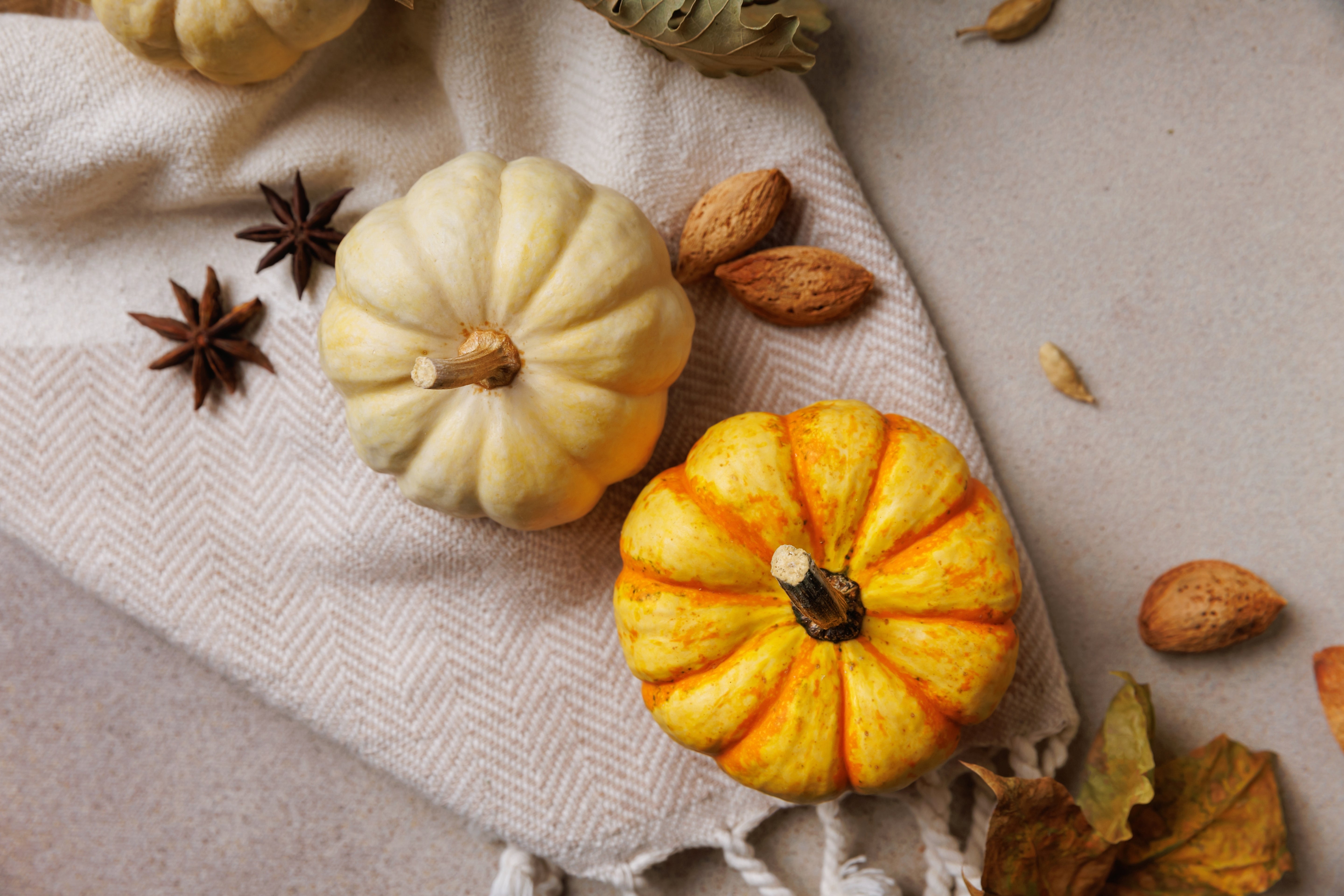 pumpkin fall inspired image