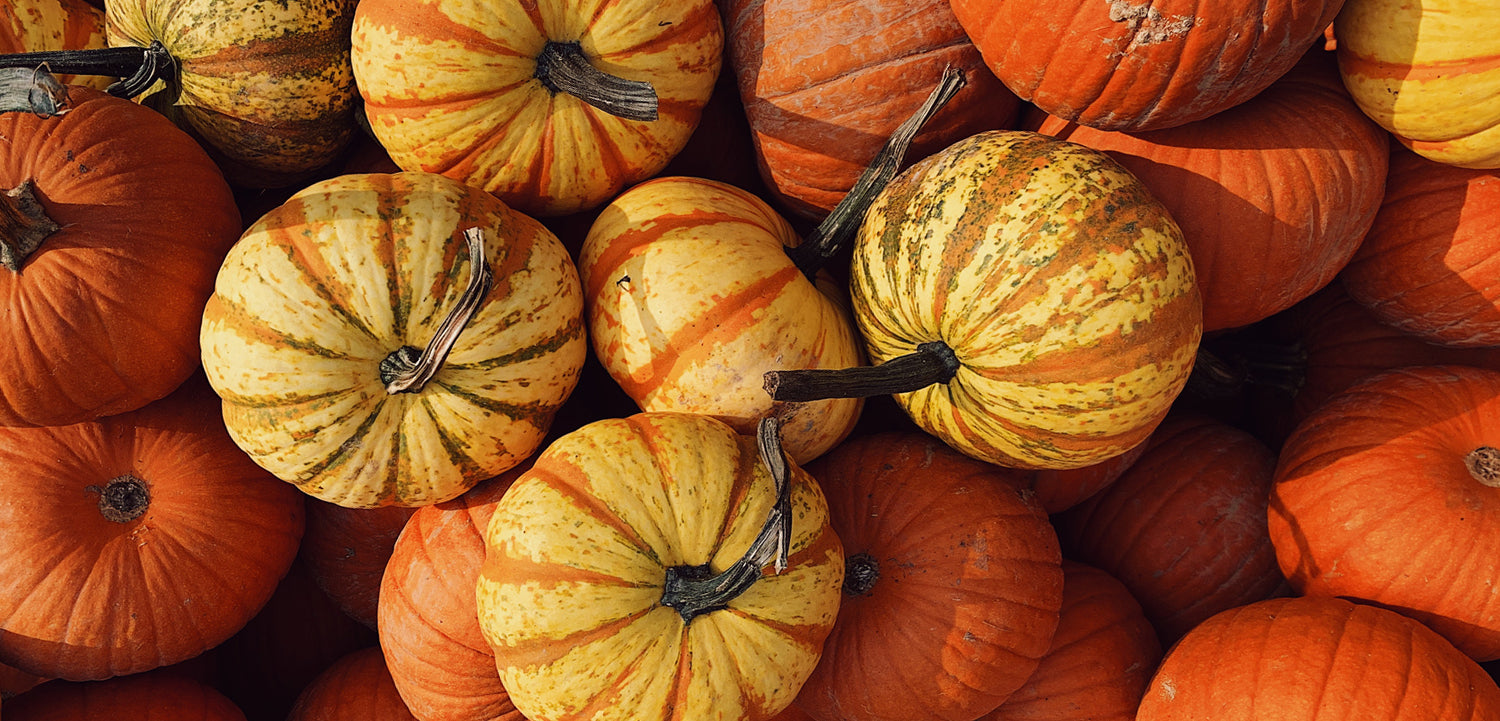 Orange and yellow pumpkins