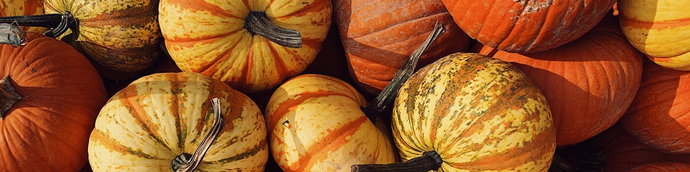 Toasted Pumpkin Fragrance Collection