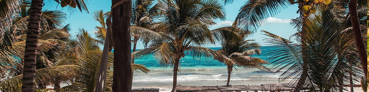 Tulum Fragrance Collection