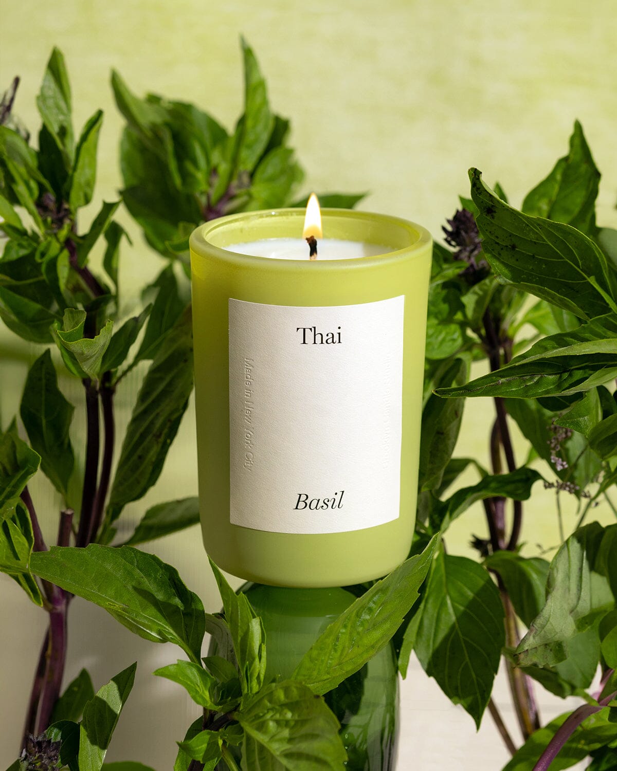 Limited Edition Thai Basil Candle Limited Edition Brooklyn Candle Studio 