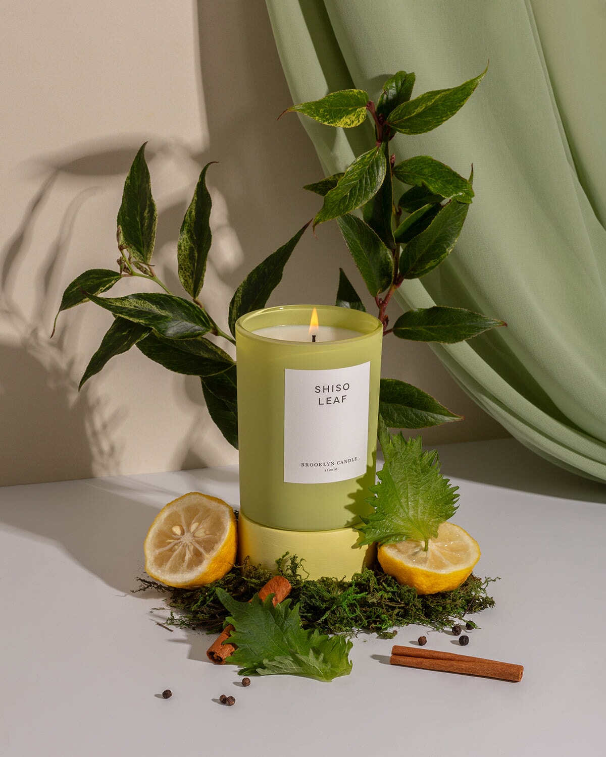 Shiso Leaf Limited Edition Candle Herbarium Collection Brooklyn Candle Studio 